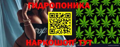 прущая мука Новодвинск