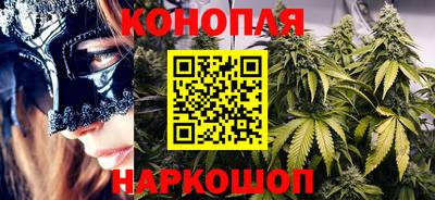 Альфа ПВП Новокубанск