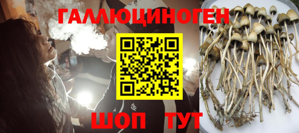 купить наркоту  Галлюциногенные грибы ЛСД  Галлюциногенные грибы мицелий  Вход с VPN  Советская Гавань 